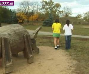 Tienertjes gaan los in het park en thuis